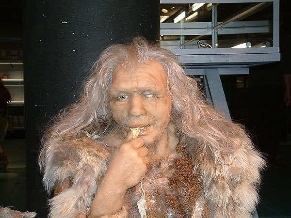 Neanderthal old man